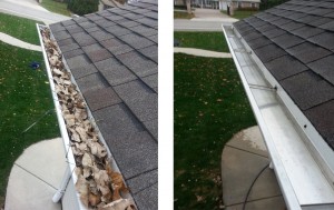 Gutter Cleaning Services